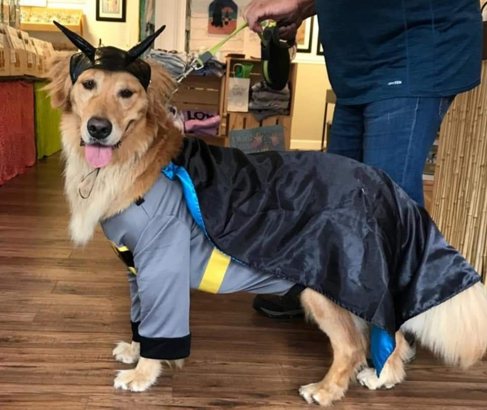 The Ruff Life by Sara England Designs