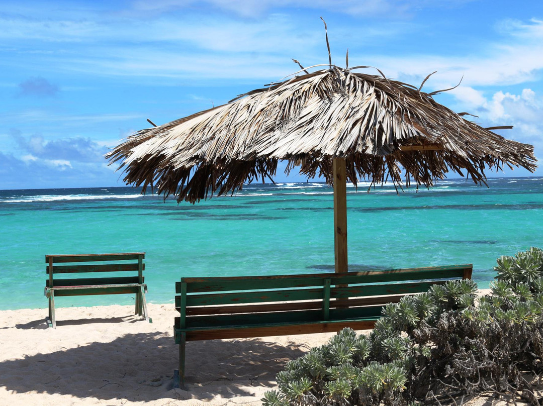 Flash of Beauty-Anegada必去景点