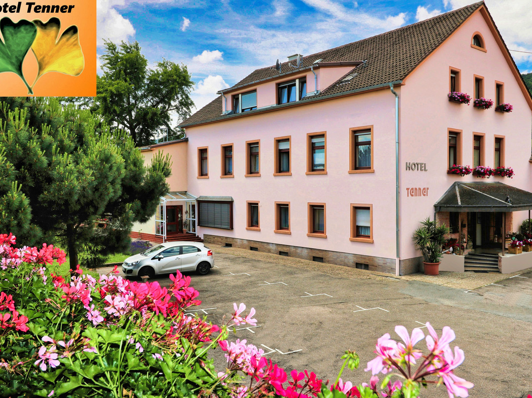 Neustadt an der Weinstrasse旅游攻略图片