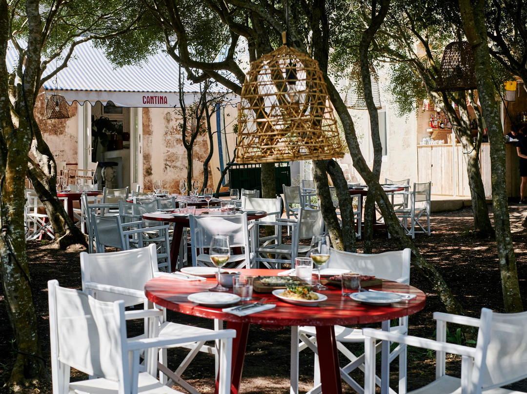 Cantina Menorca