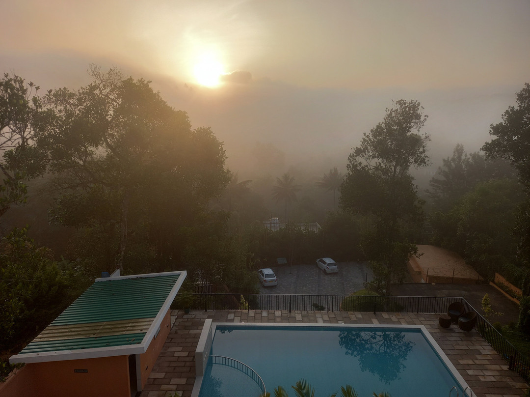 Wild Avenue Resort & Spa