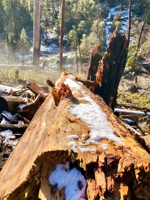 Lewis Creek Trail-奥克赫斯特必去景点