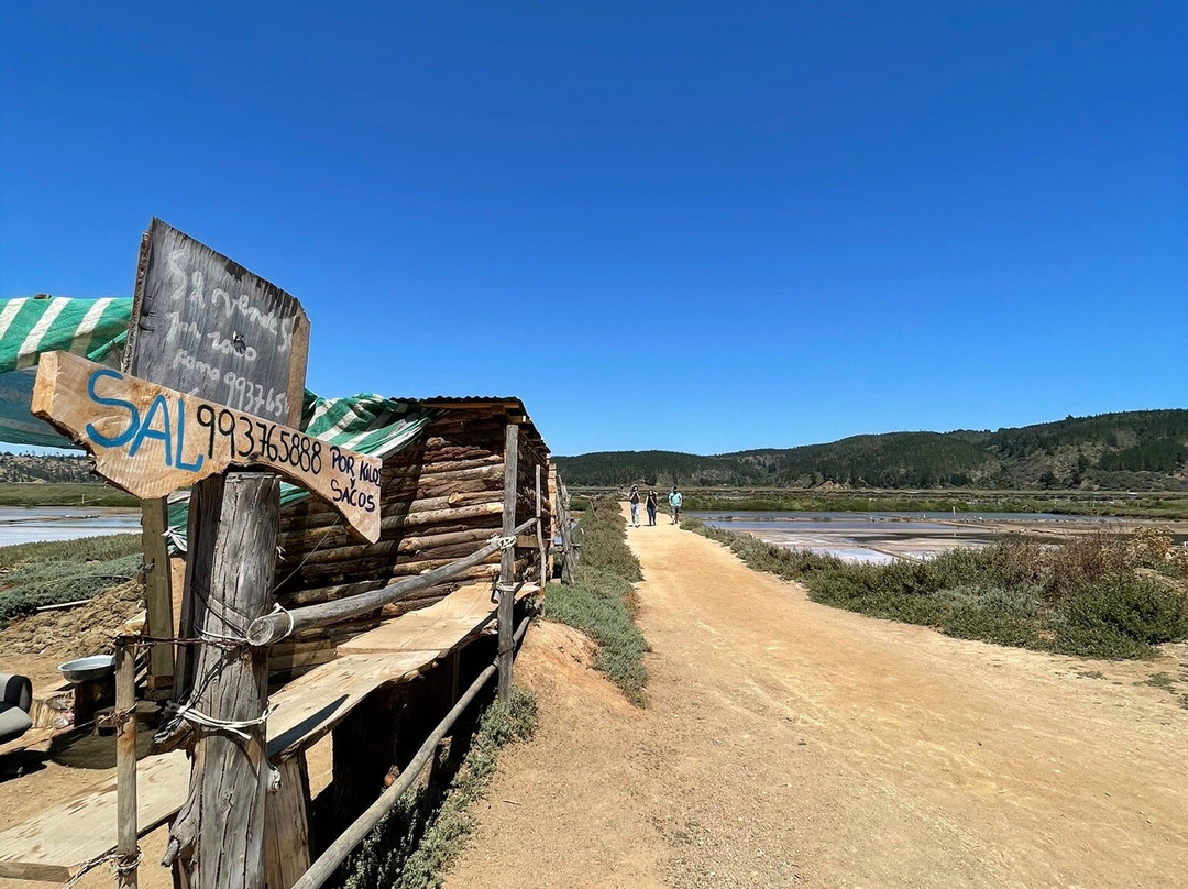 Salinas de Cahuil-皮钦勒姆必去景点