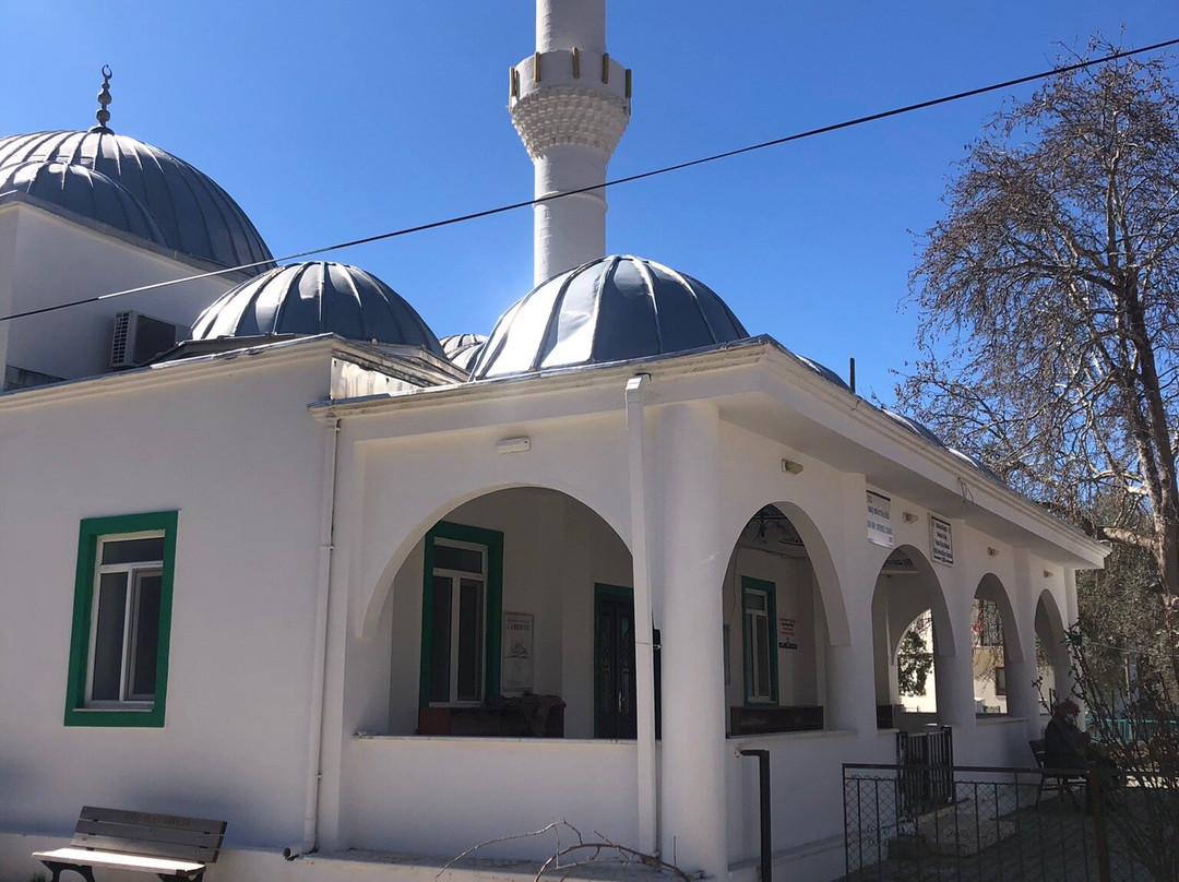 Bezirgan Village Mosque景点图片