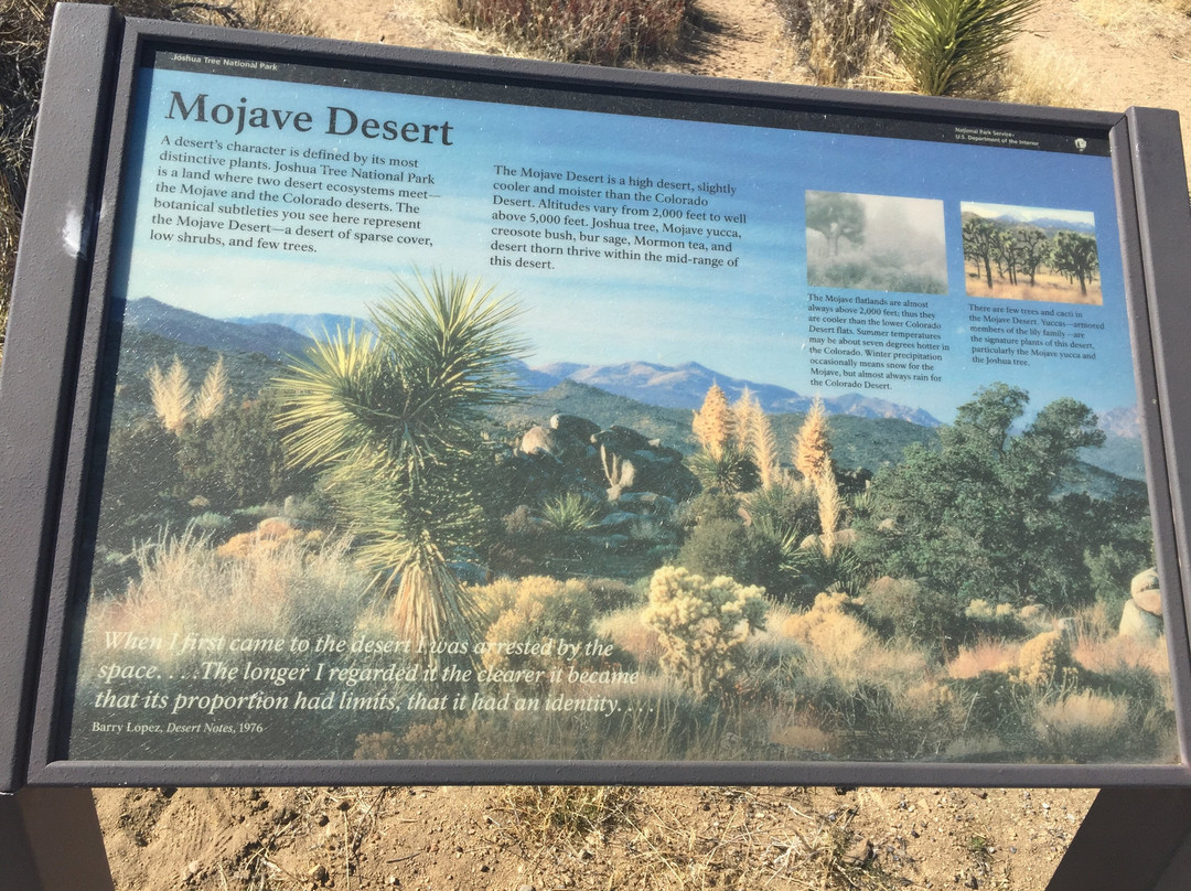 Johnny Lang Grave-约书亚树国家公园必去景点