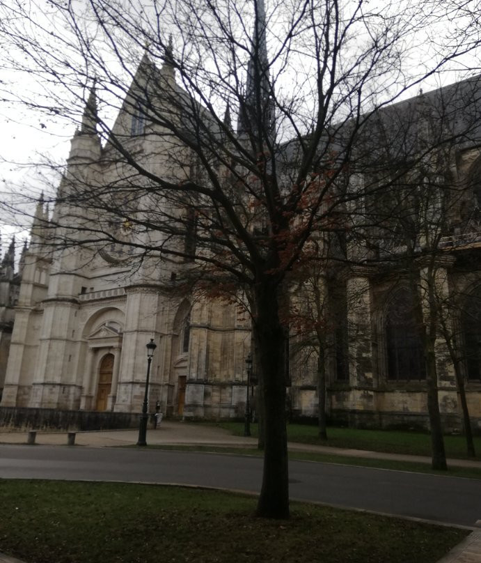 Orleans Val de Loire Tourisme-奥尔良必去景点