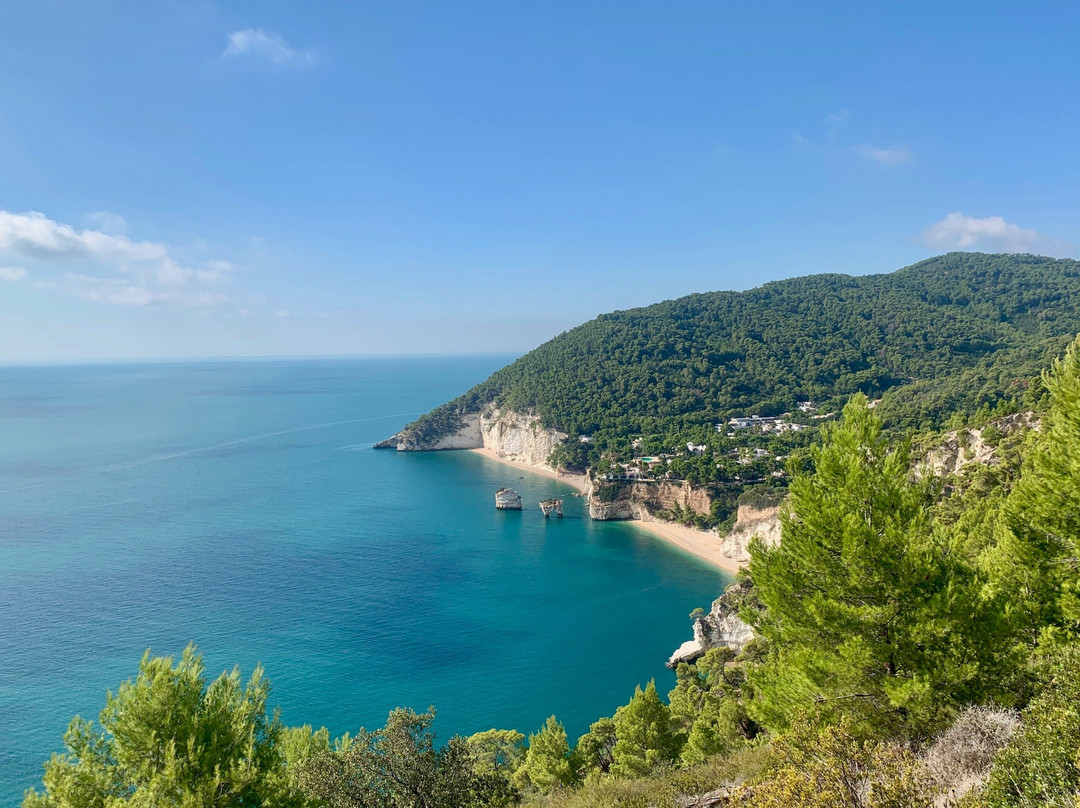 Fulvia Girardi Guida Escursionistica e Accompagnatore Turistico-Acceglio必去景点