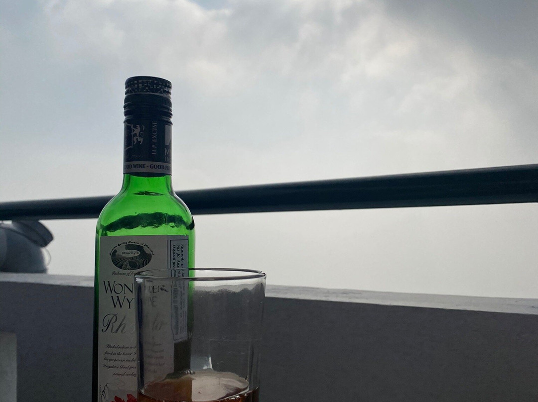 Birds View Kasauli主图