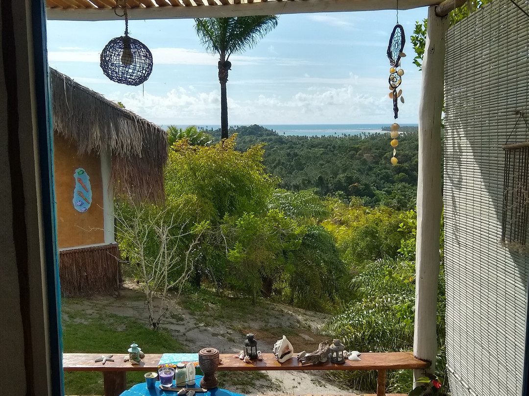 Eco-Pousada Casa Bobo主图