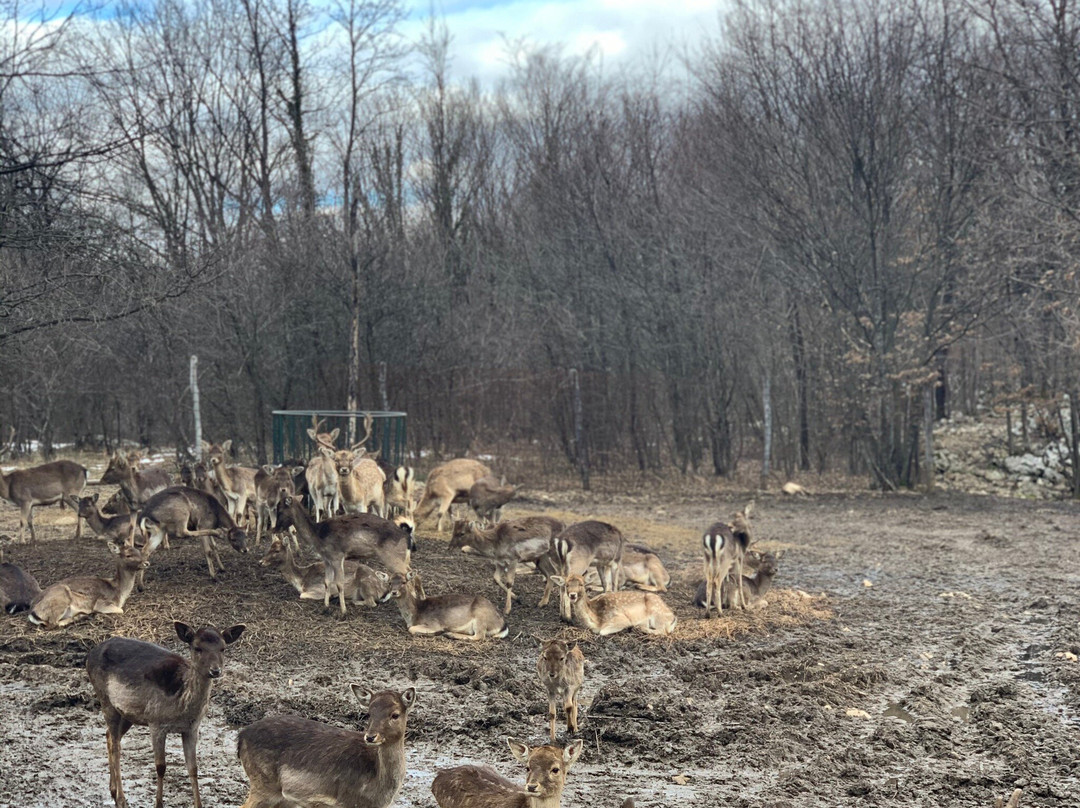 Ranch Deer Valley-Dreznik Grad必去景点