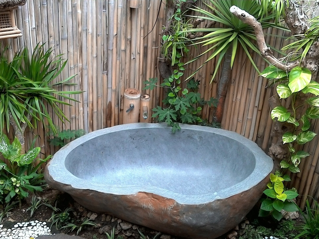 Penida Bambu Green Villas主图