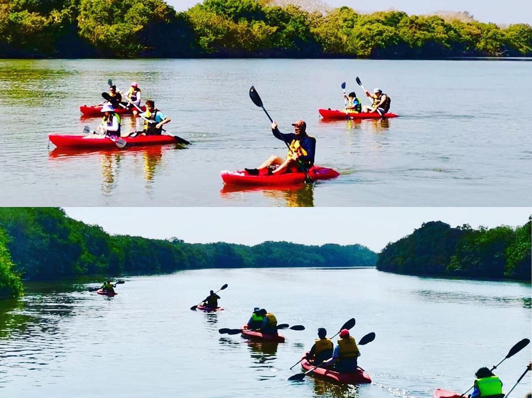 Laguna de Mandinga-韦拉克鲁斯必去景点