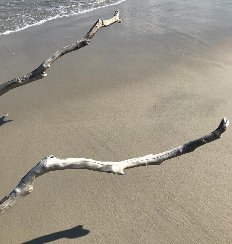 Grandview Nature Preserve-汉普顿必去景点