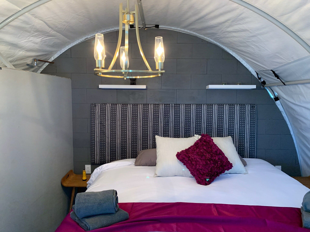 Nautilus Dive Adventures-San Ignacio必去景点