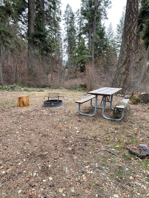 Yellow Bay / Flathead Lake State Park景点图片