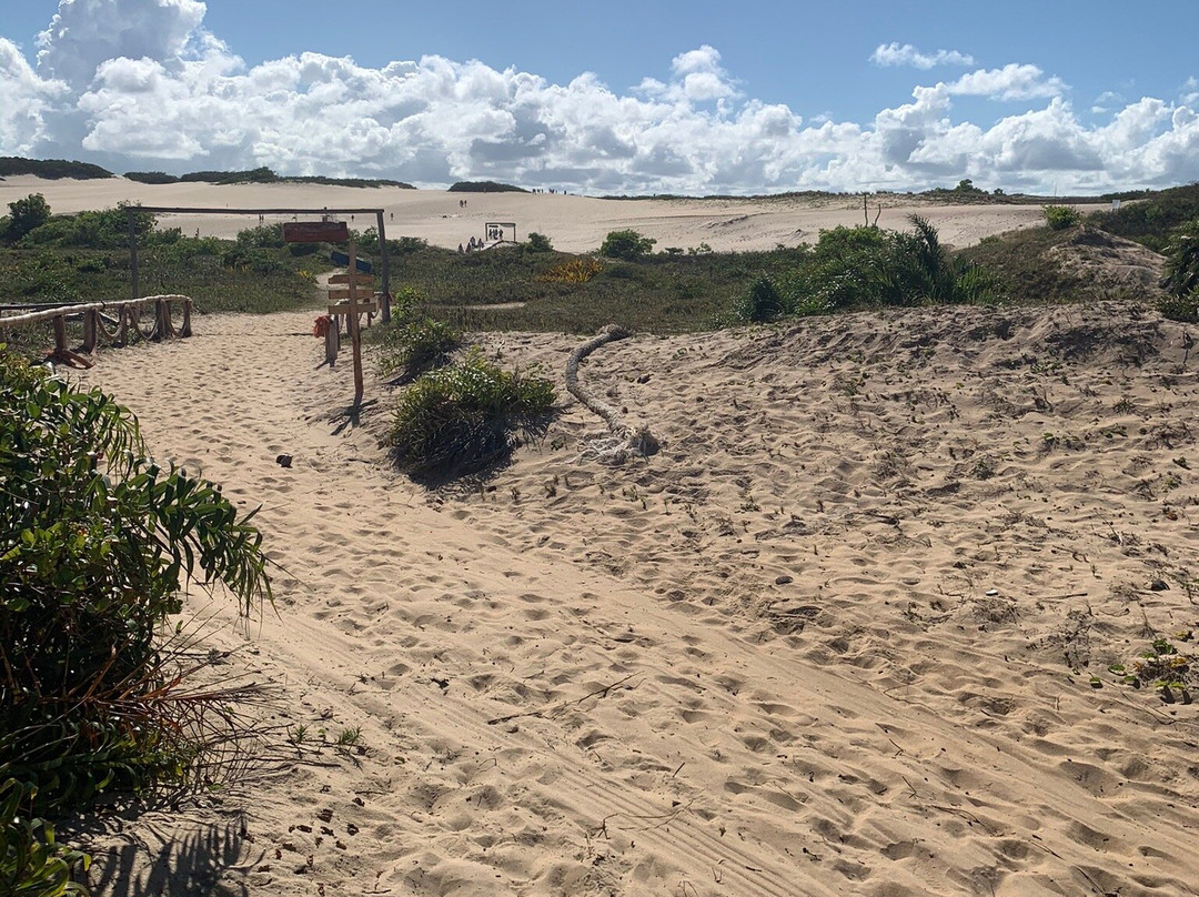 Praia Itaúnas景点图片