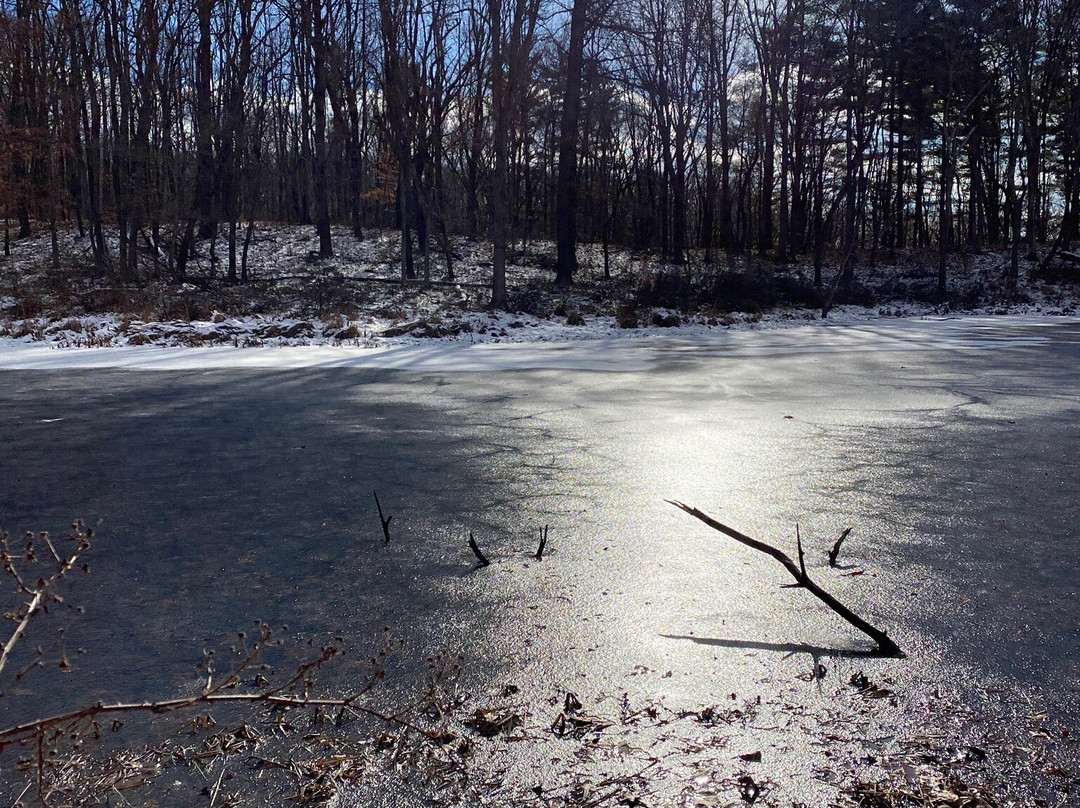 Stanford Trail-Peninsula必去景点