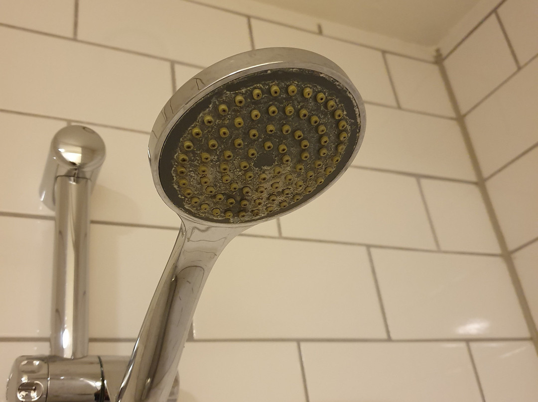 Scandic Sønderborg主图