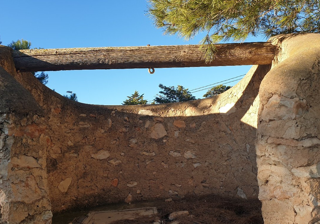 Pozo Concejil De Roche景点图片