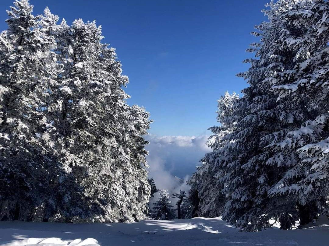 Mount Ainos National Park-凯法利尼亚岛必去景点