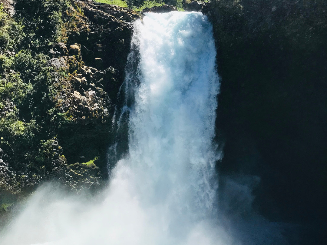 Sendero el Puma-耐尔杜美必去景点