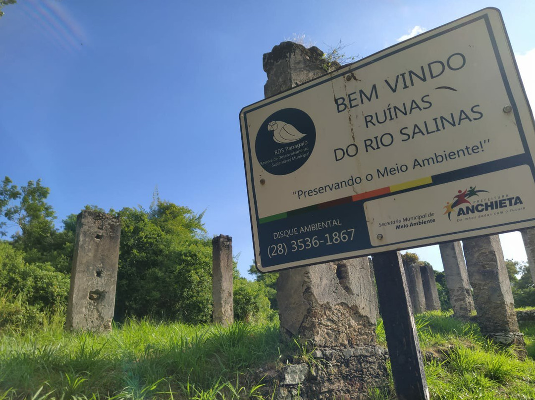 Ruinas do Rio Salinas景点图片