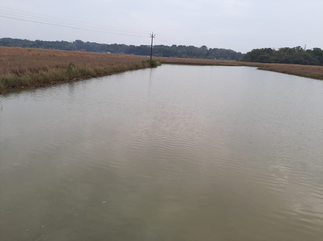 Moradia dos Quadros主图