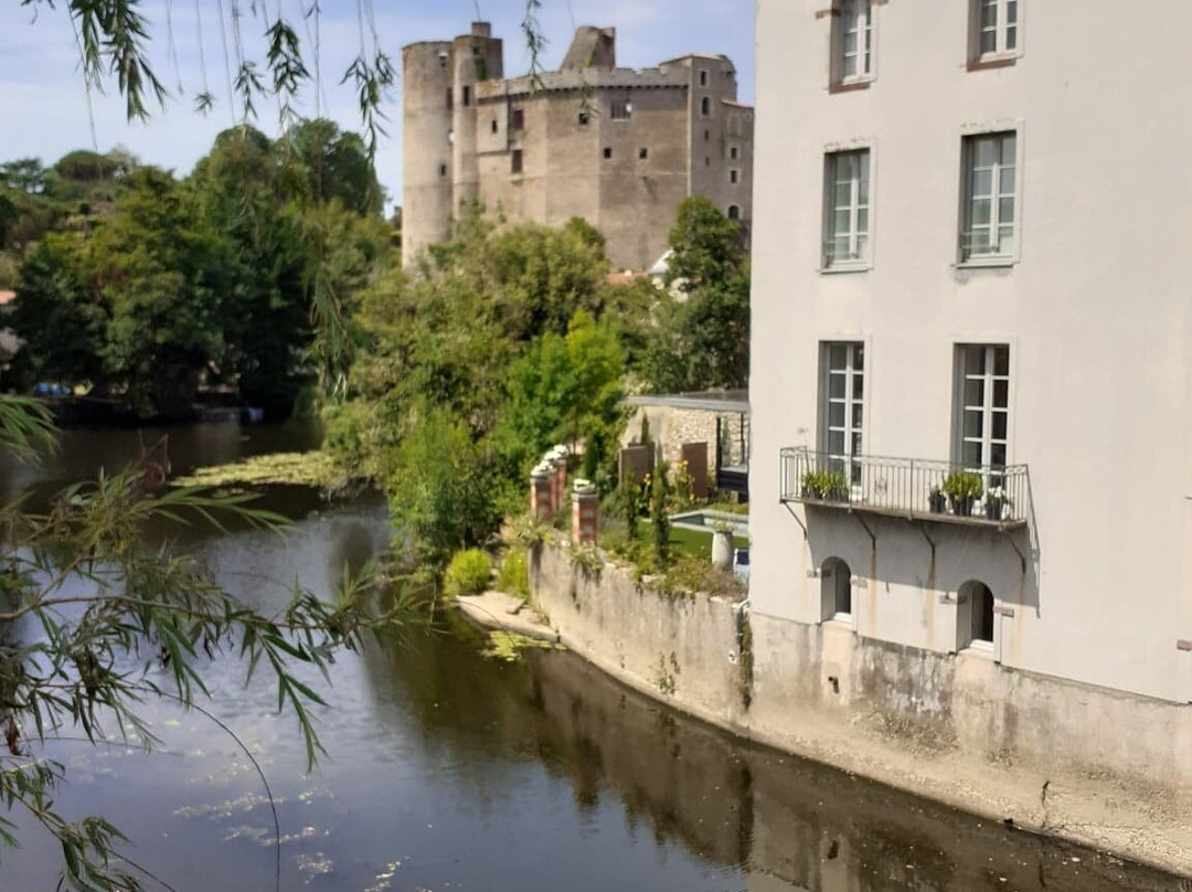 Pont Saint-Antoine景点图片