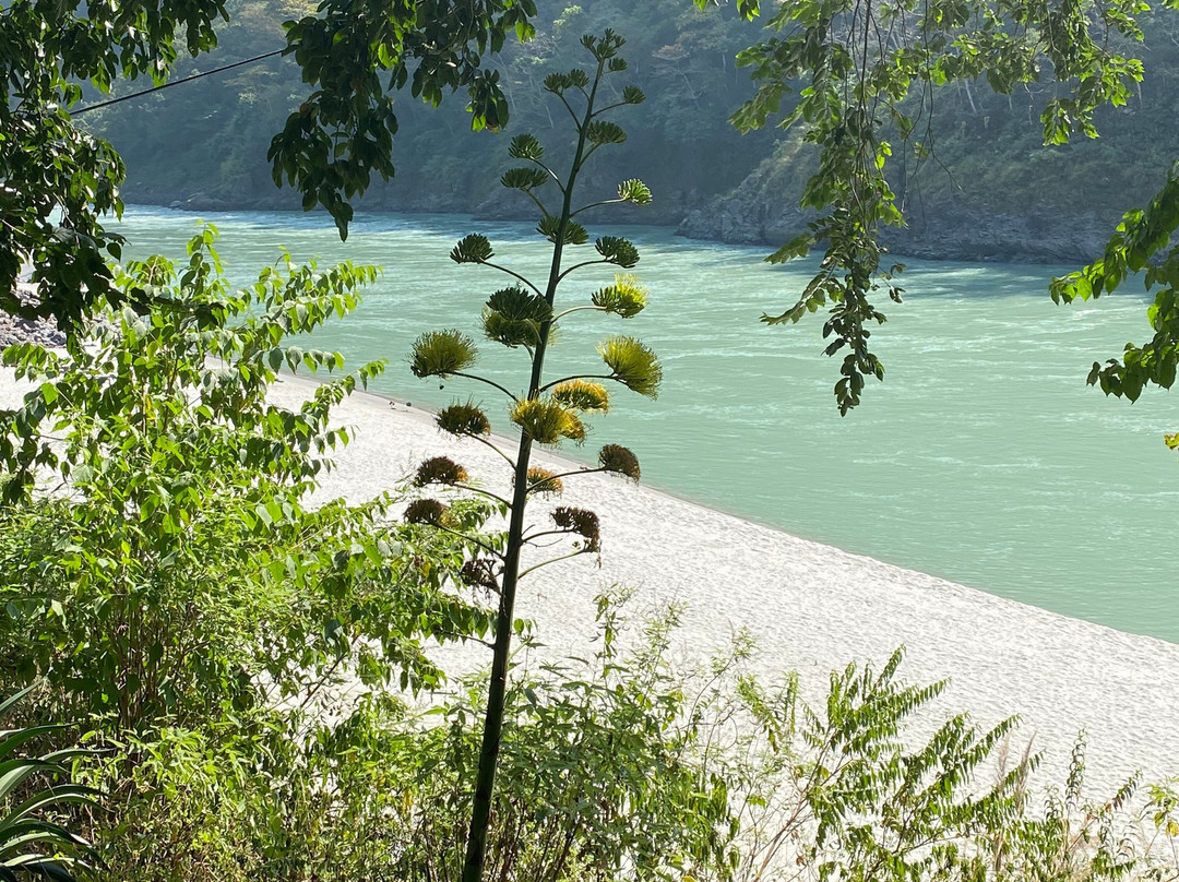 Namami Ganges Beach Resort & Spa主图