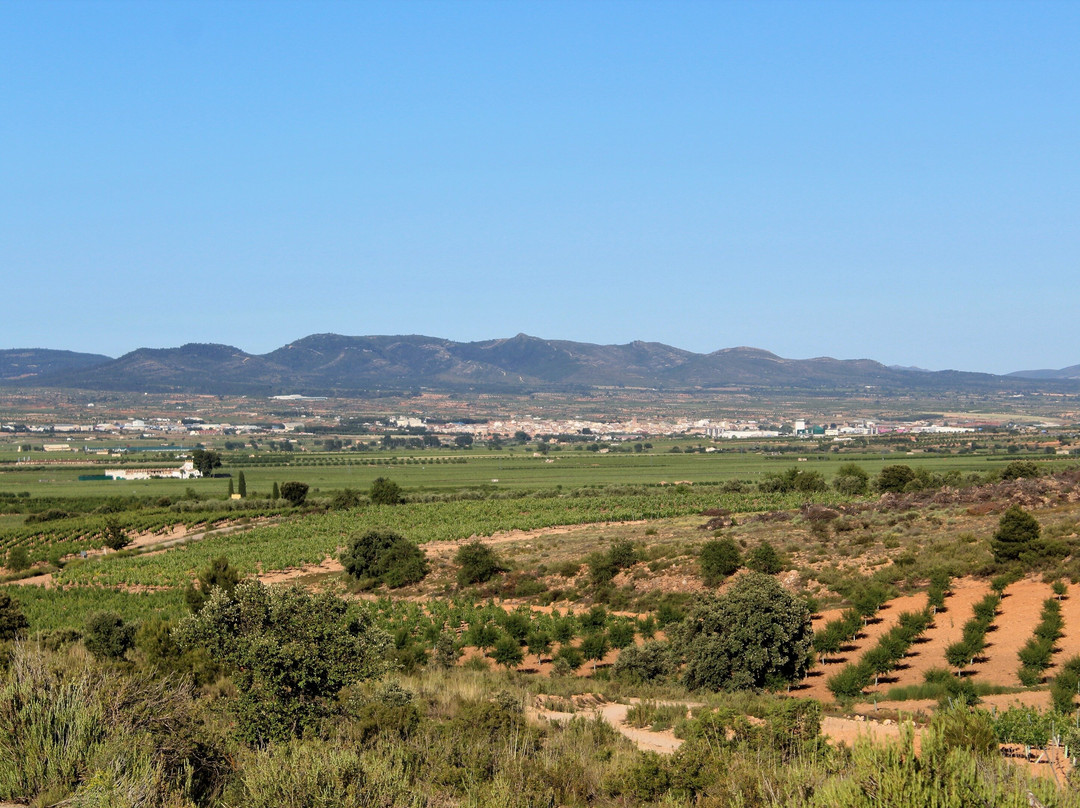 Bodegas Iranzo景点图片