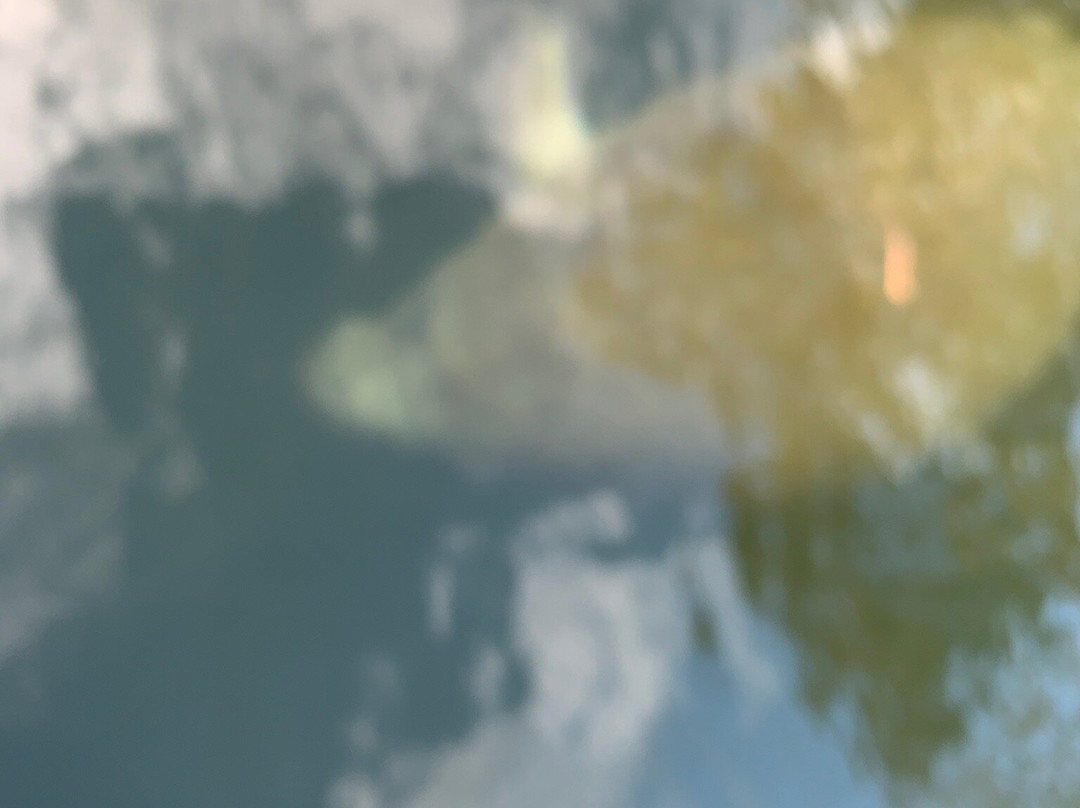 TNT Hideaway Day Tours-Crawfordville必去景点