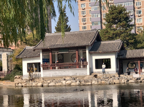 团结湖公园-北京市必去景点