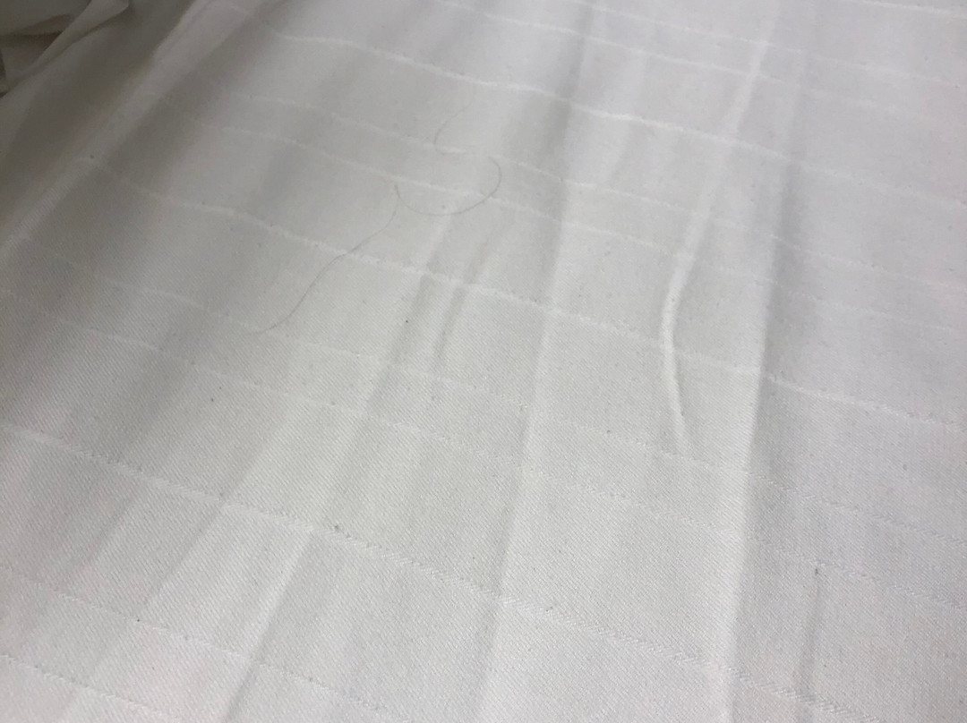 Microtel Inn & Suites by Wyndham Minot主图