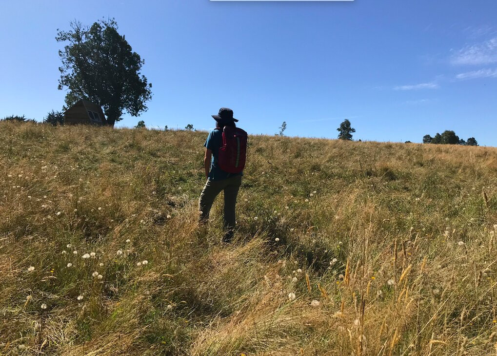 Reserva Natural El Triwe-Frutillar必去景点