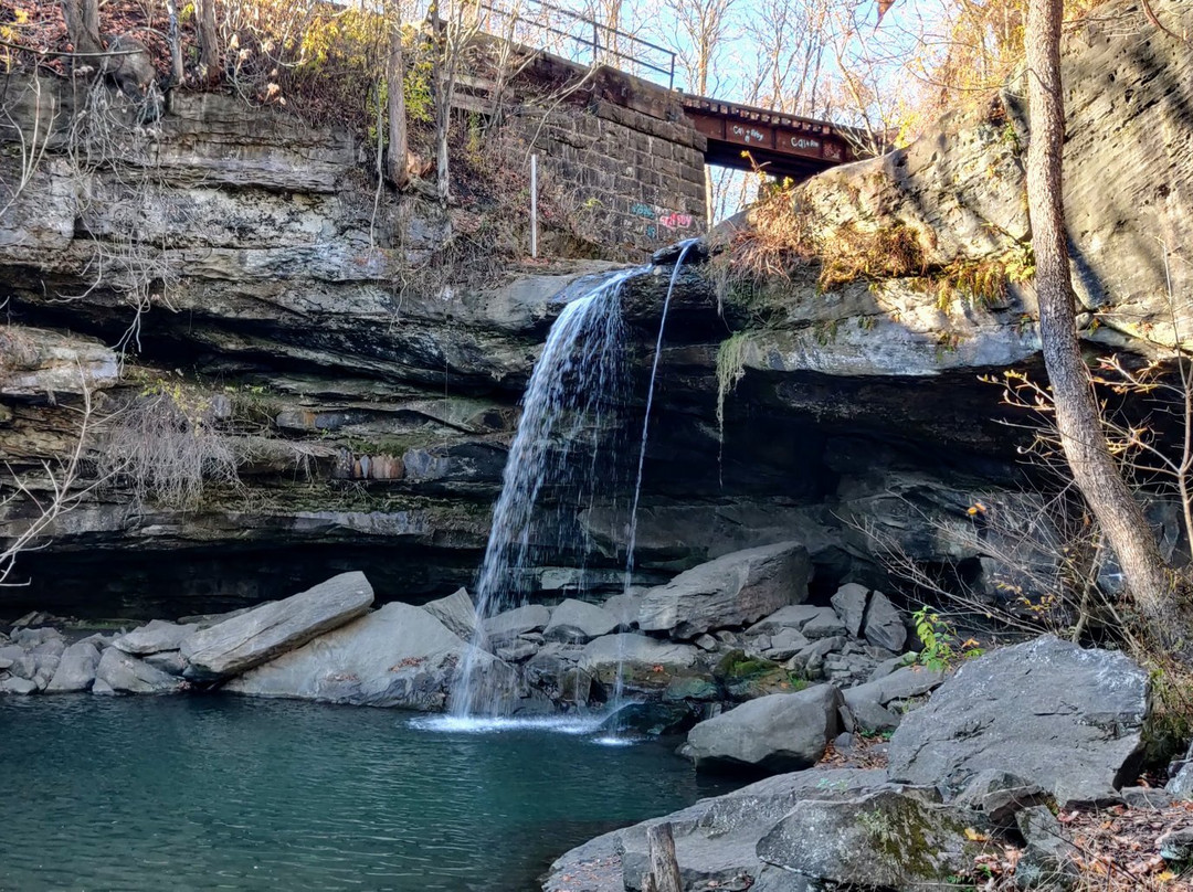 Buttermilk Falls Natural Area景点图片