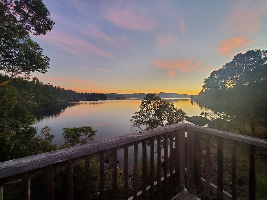 Arbutus Cove Guesthouse主图
