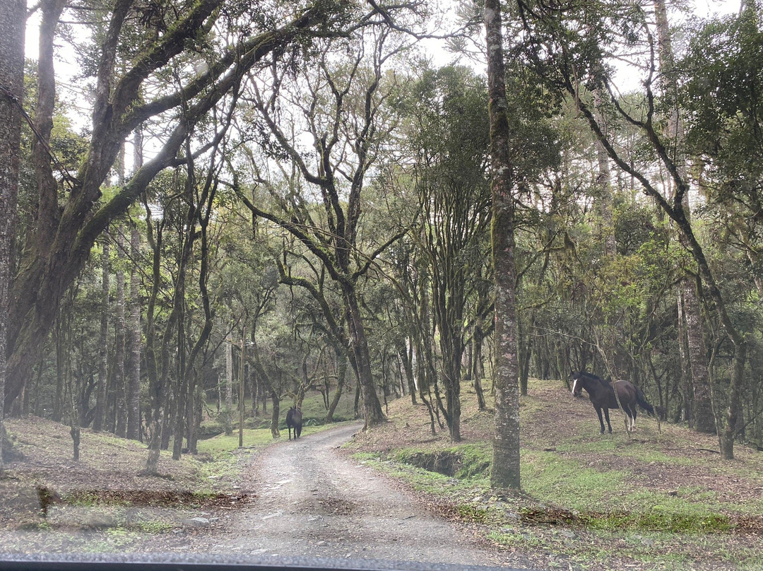 Hospedaria Refugio do Invernador主图