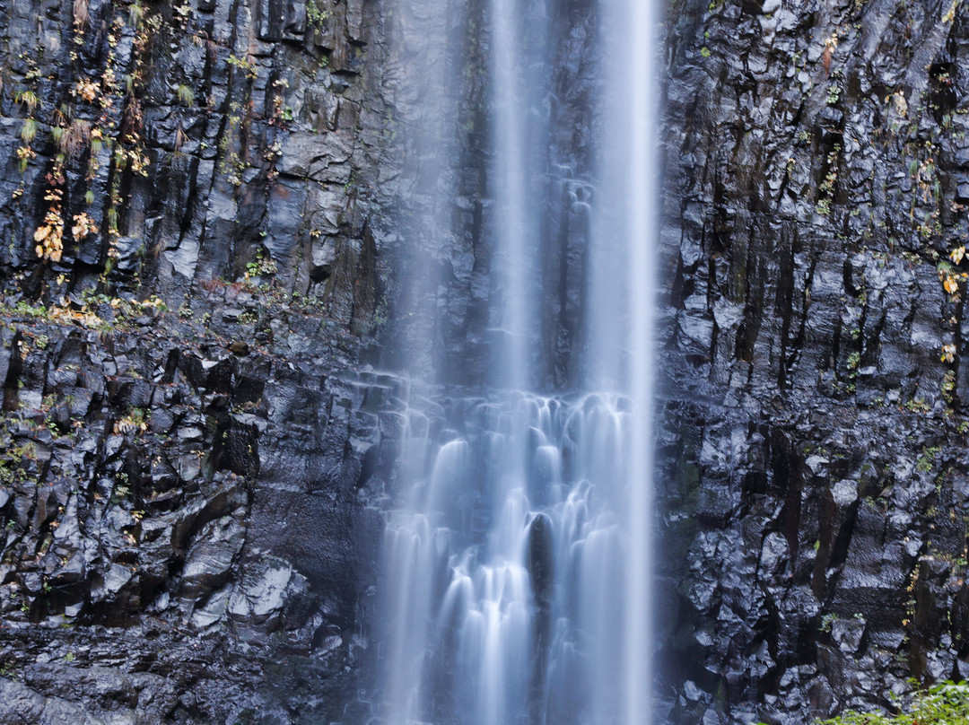 Tamasudare Fall-酒田市必去景点