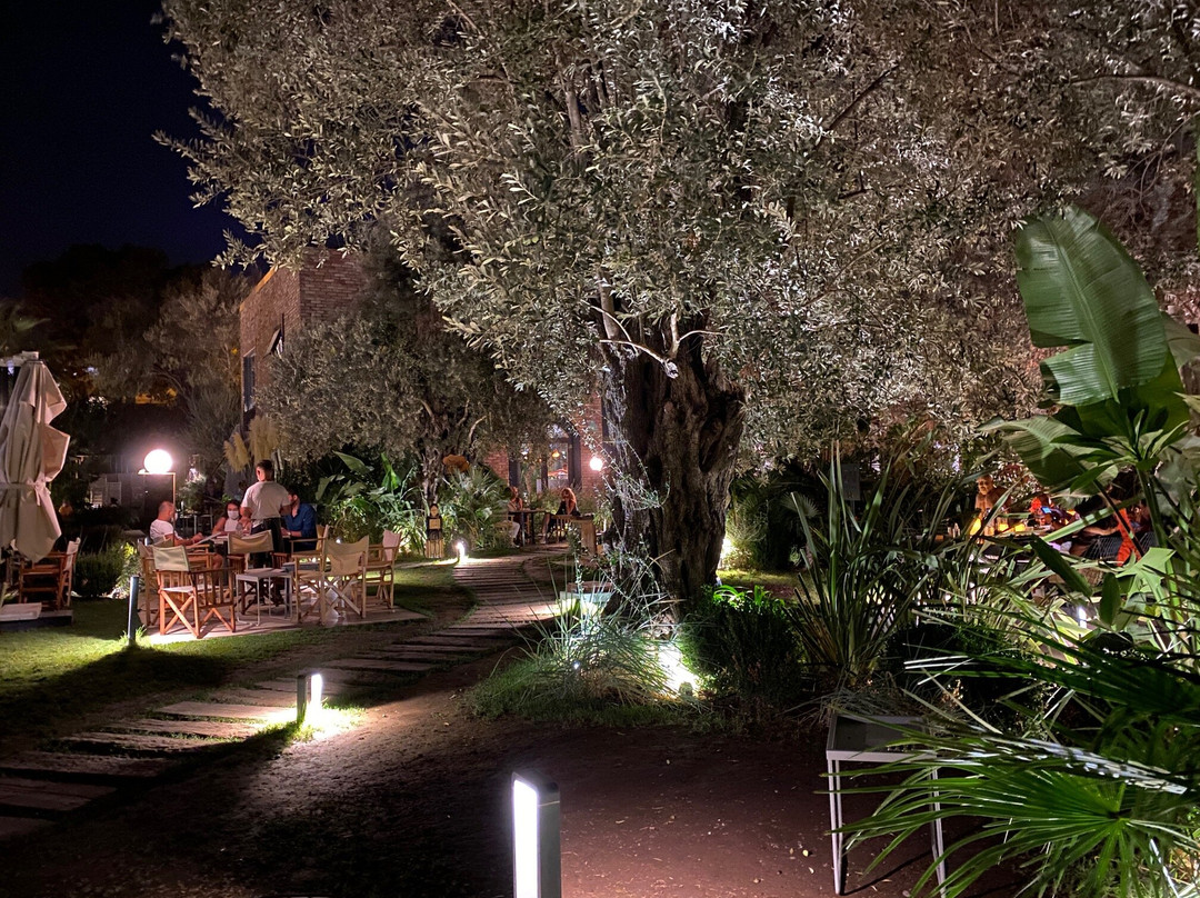 Zai Bodrum-博德鲁姆必去景点