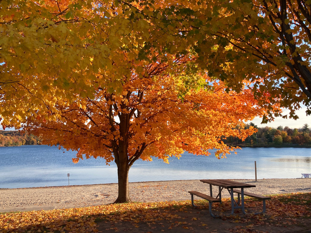 Lake Taghkanic State Park-Ancram必去景点