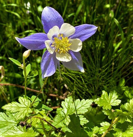 Green Mountain Loop-落基山国家公园必去景点