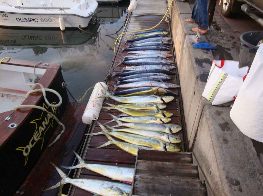 Albacore Fishing Club景点图片