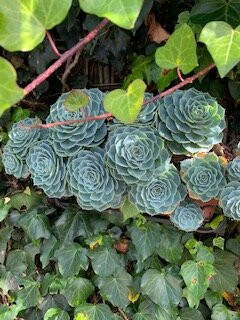 Monte Gracia Wellness Hotel & Spa主图