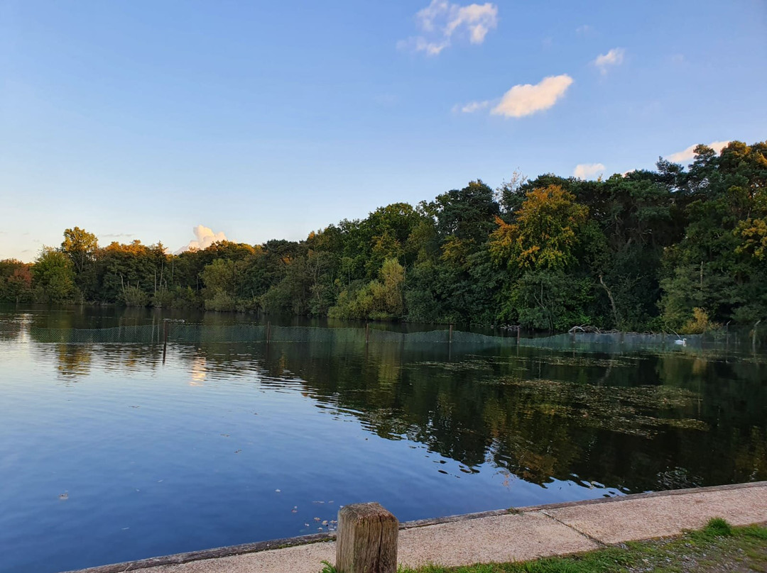 Basingstoke Canal景点图片