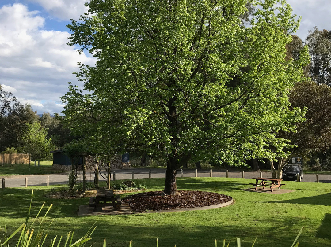 Rotary Park-Myrtleford必去景点