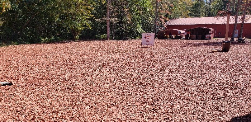 Burt's Farm-道森维尔必去景点