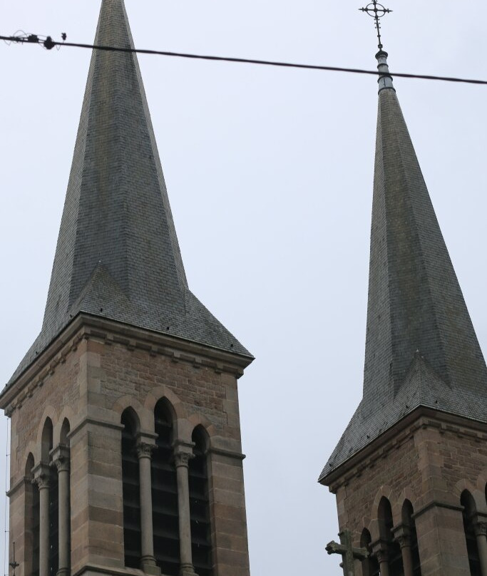 Église Saint-Henri景点图片