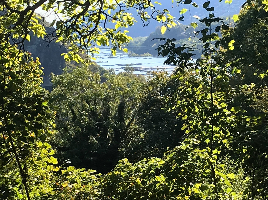 The Ledge House Bed and Breakfast主图