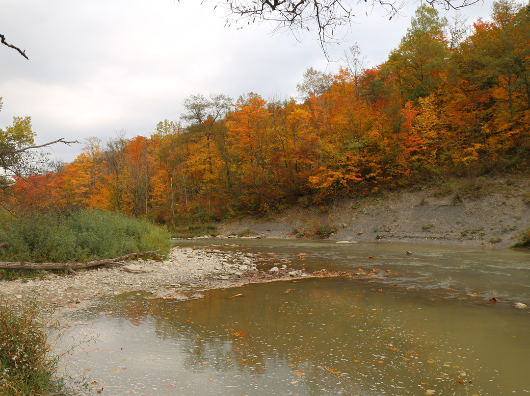 Rock Glen Conservation Area景点图片
