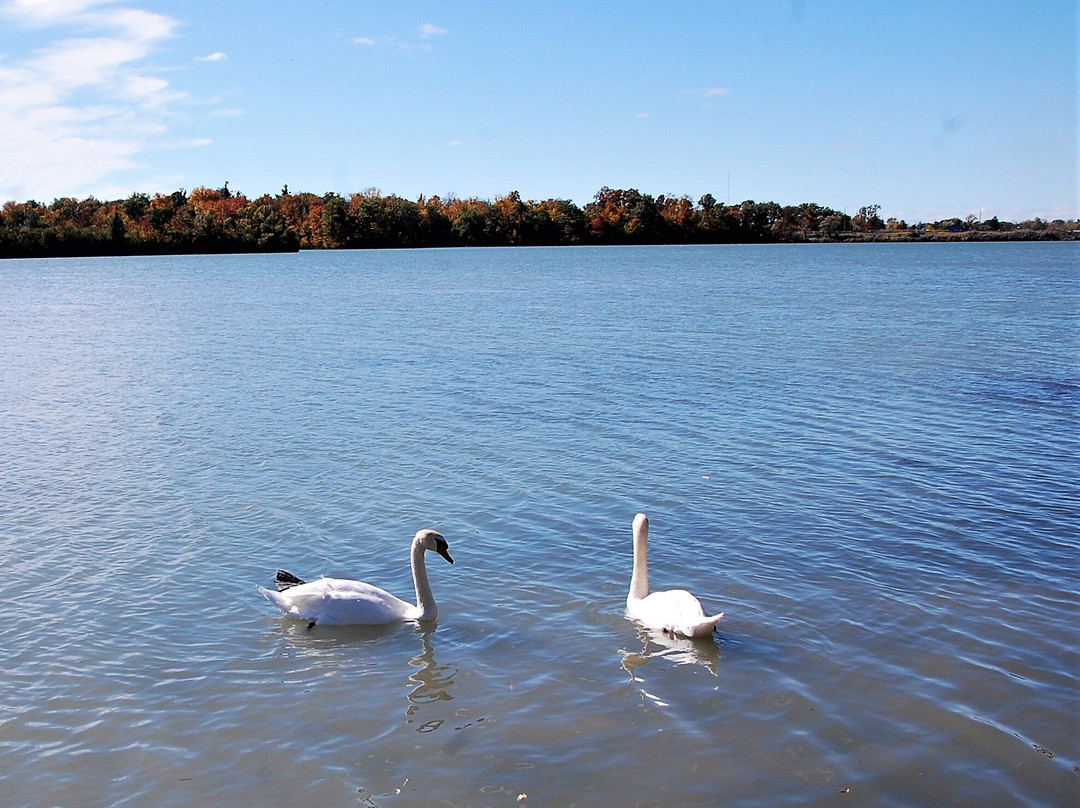 Mel Swart Lake Gibson Conservation Park-Thorold必去景点